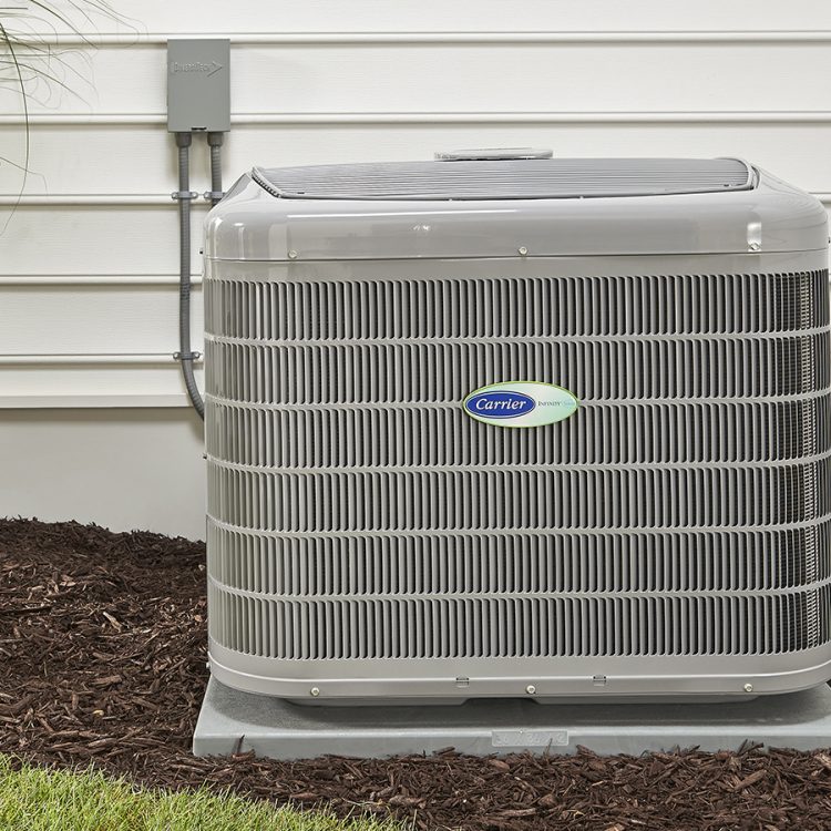 Services near me to maintain